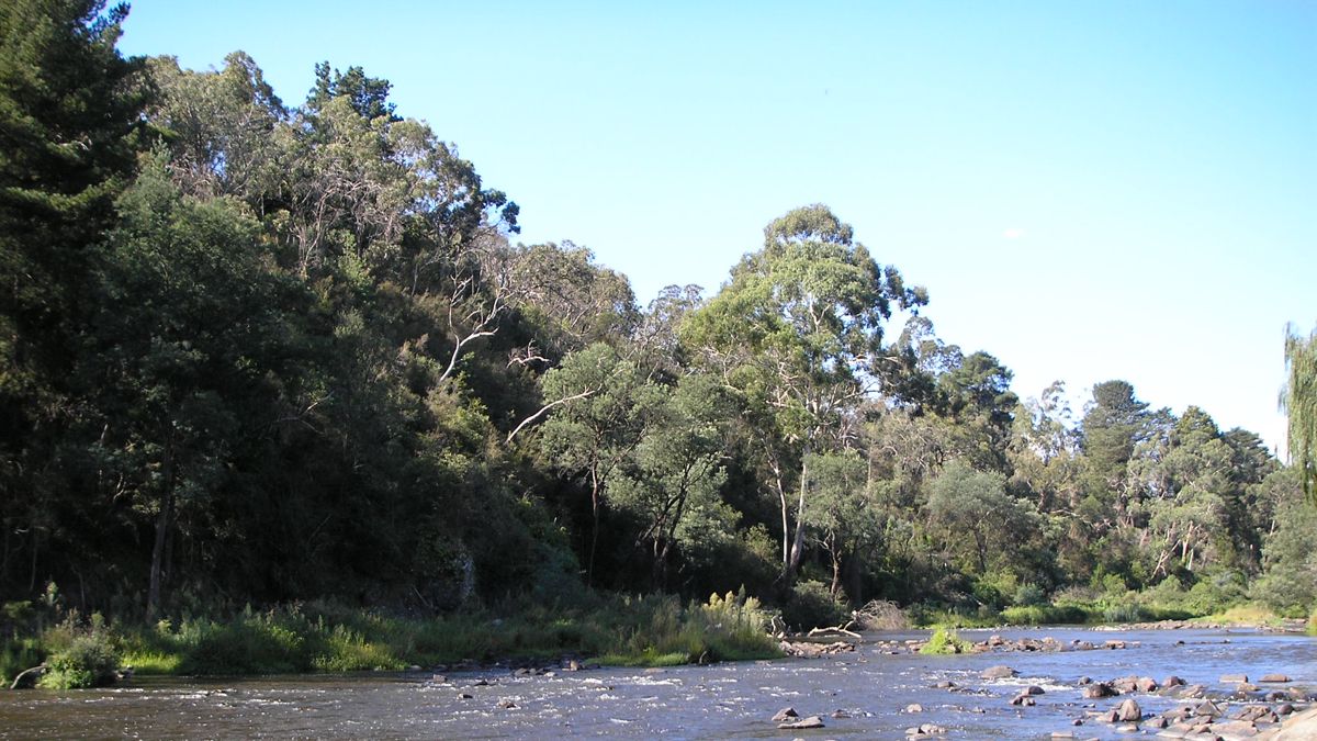 Warrandyte, Victoria — in the service area for gutter cleaning